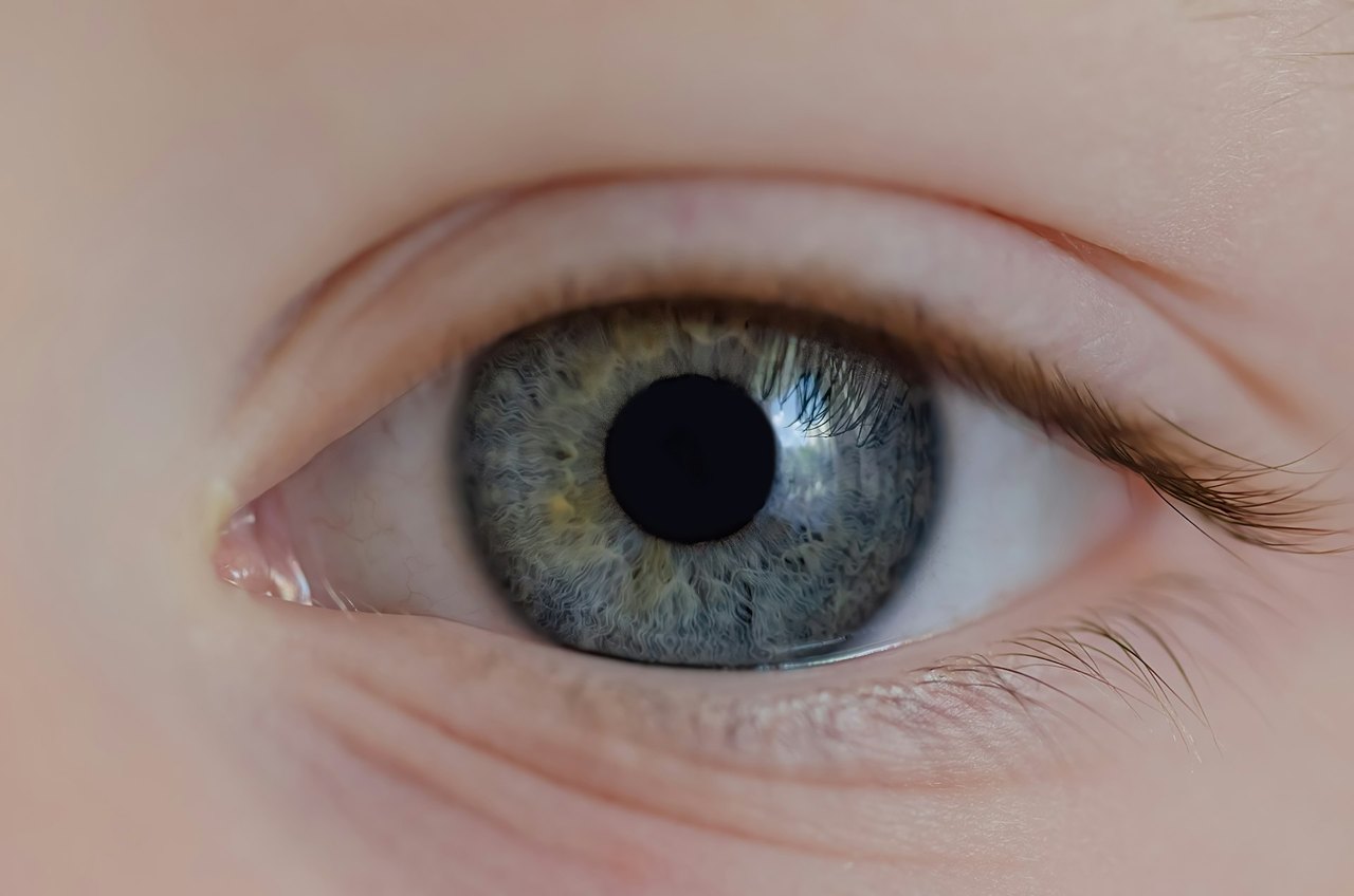 Close-up of a child’s blue-grey eye